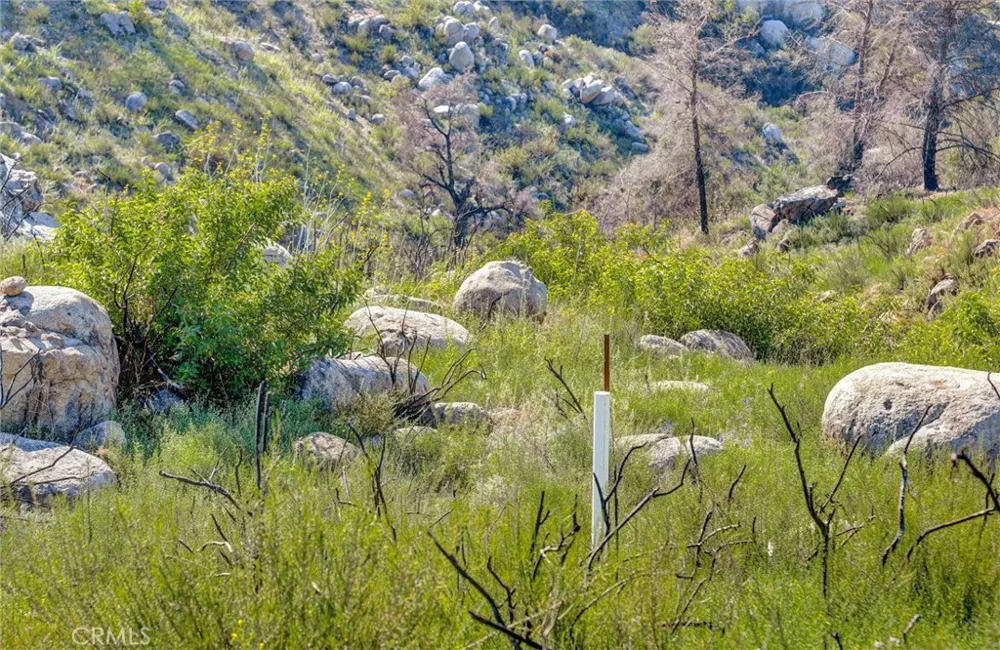 2 Decker Canyon Road Ortega Mountain, CA 92530