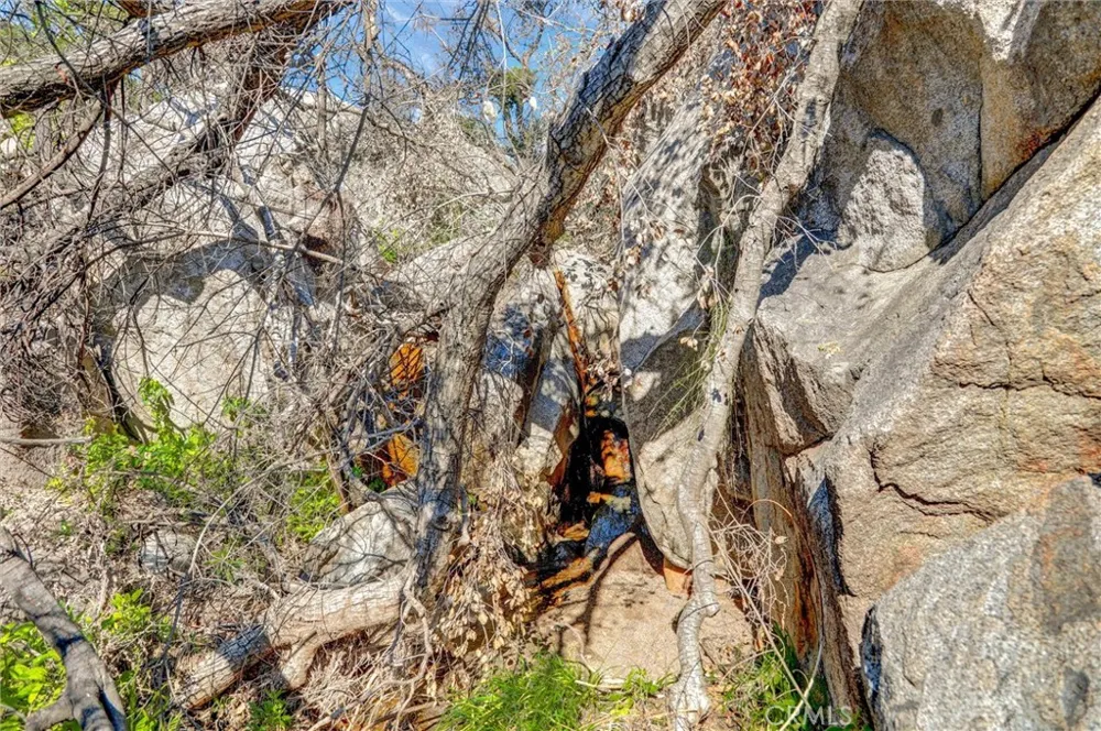 2 Decker Canyon Road Ortega Mountain, CA 92530
