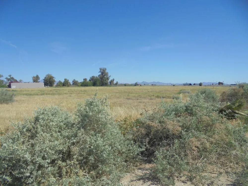1800 Hobsonway Blythe, CA 92225