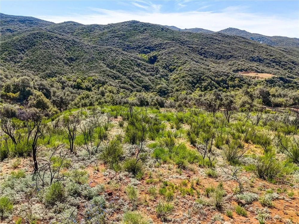 1 Decker Canyon Road Ortega Mountain, CA 92530