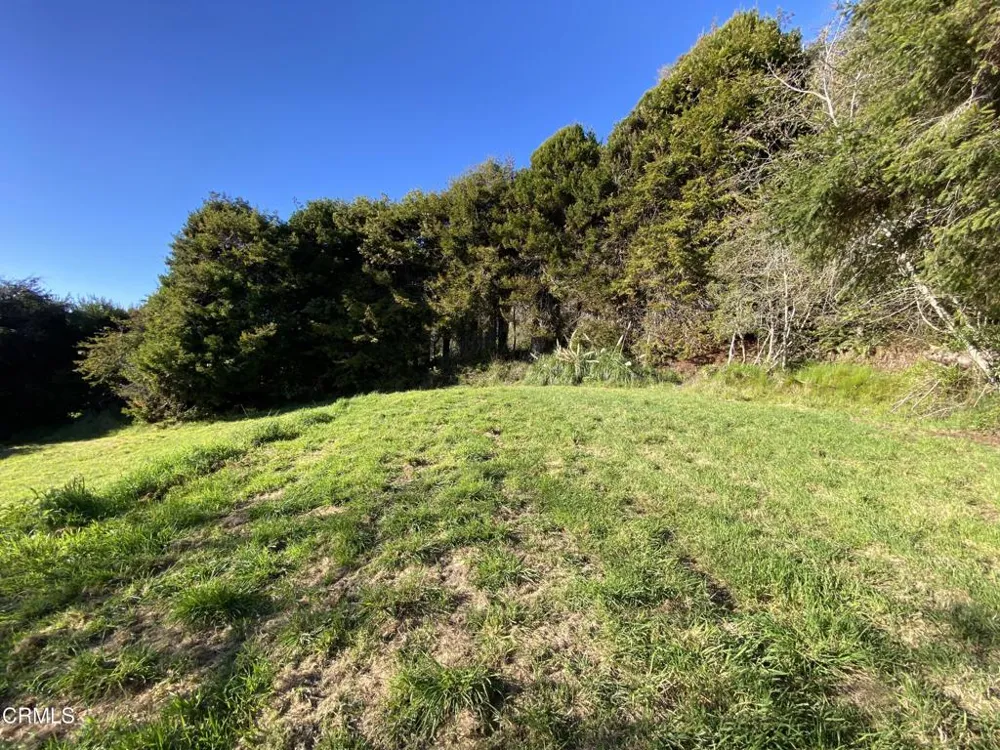 41301 Seascape Drive Westport, CA 95488