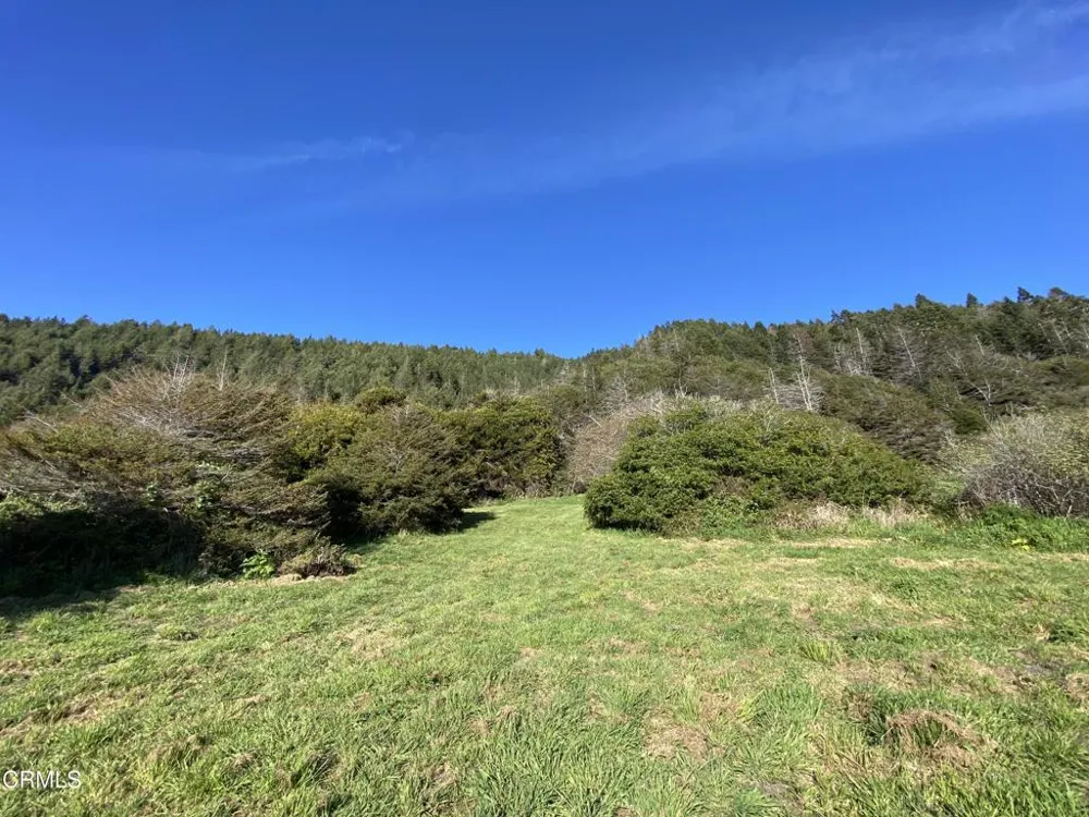 41301 Seascape Drive Westport, CA 95488