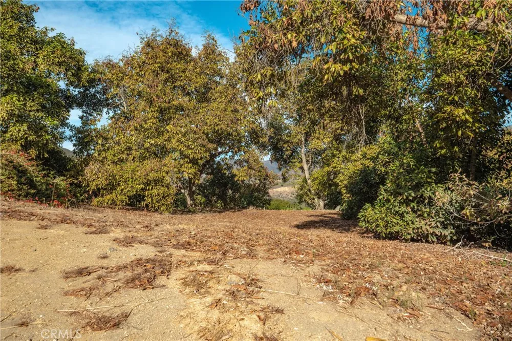 Pauma Ridge Road Valley Center, CA 92082