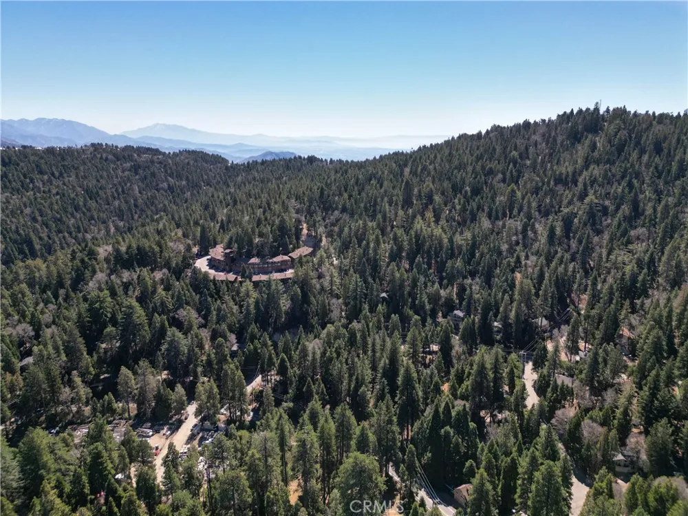 683 Maxson Drive Twin Peaks, CA 92391