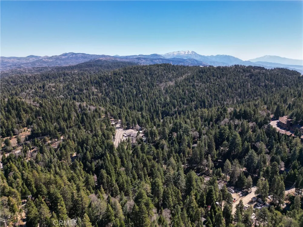 683 Maxson Drive Twin Peaks, CA 92391