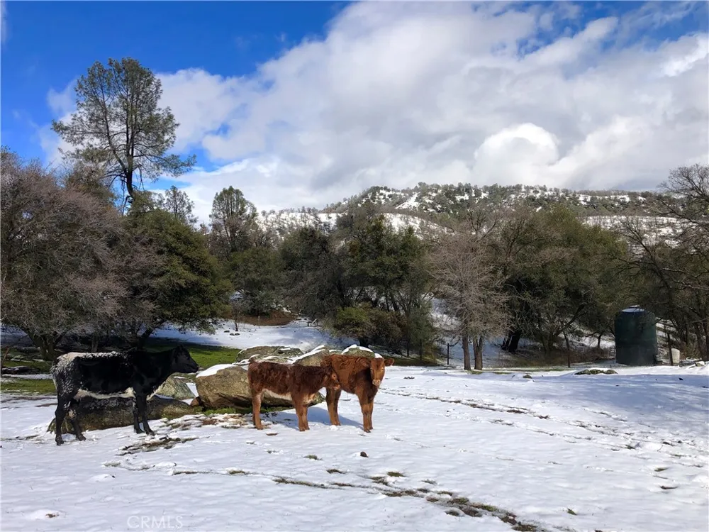 Address Not Shown Coarsegold, CA 93614