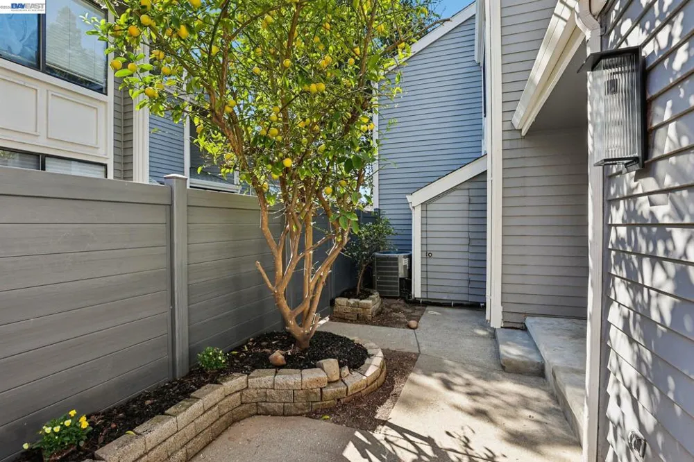 5375 Black Ave #1 Pleasanton, CA 94566