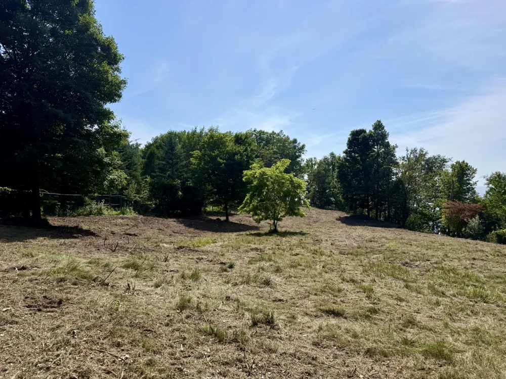 2989 S Lakeshore Drive Ludington, MI 49431