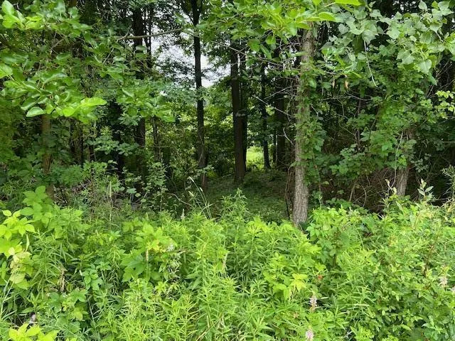 Oak Ridge Hills #7 Marshall, MI 49068