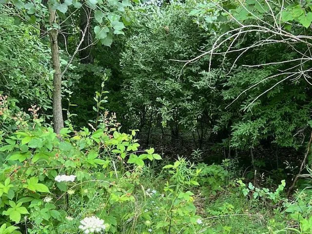 Oak Ridge Hills #7 Marshall, MI 49068
