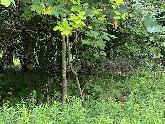 Oak Ridge Hills #7 Marshall, MI 49068