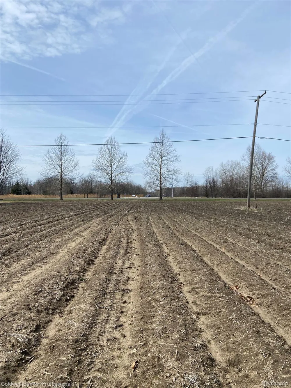 8705 Whittaker Road Augusta Charter Township, MI 48197