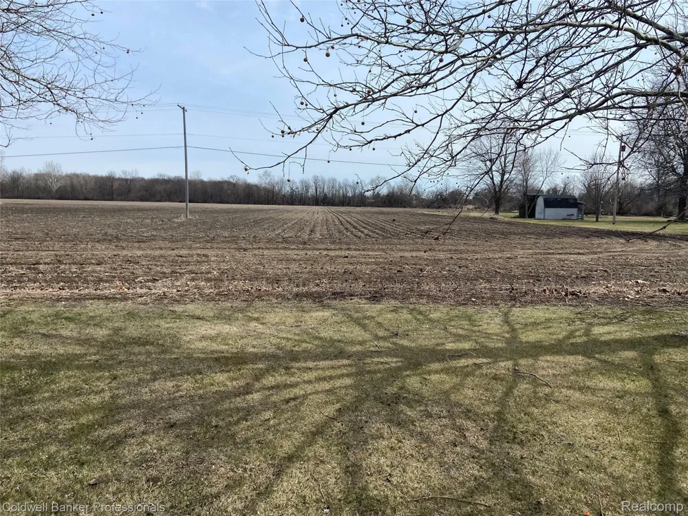 8705 Whittaker Road Augusta Charter Township, MI 48197