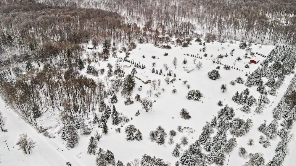 4395 Raymond Road Ellsworth Township, MI 49656