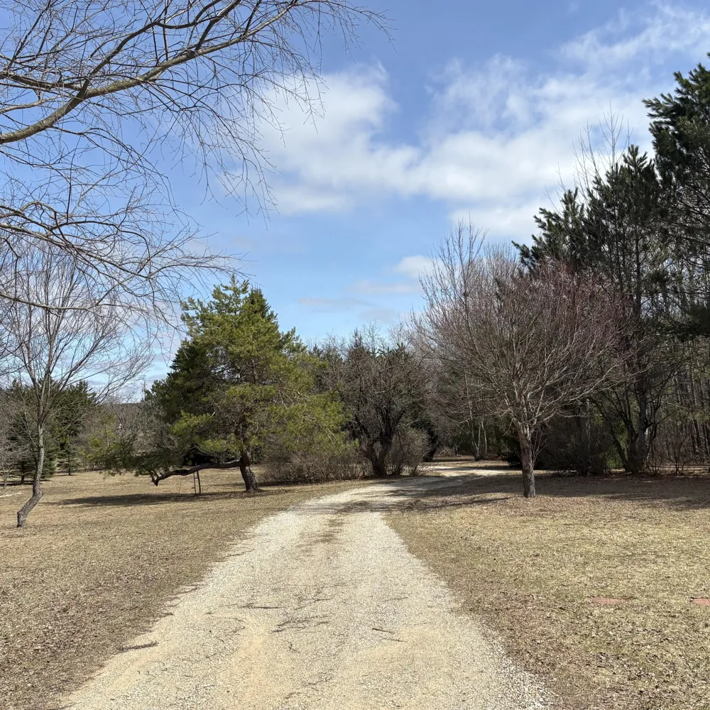 4395 Raymond Road Ellsworth Township, MI 49656