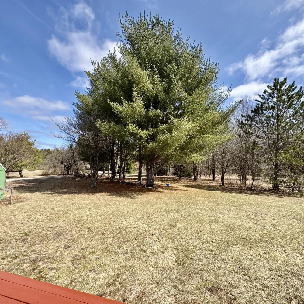 4395 Raymond Road Ellsworth Township, MI 49656