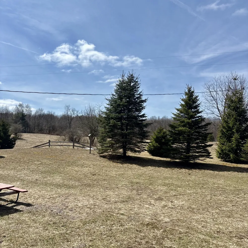 4395 Raymond Road Ellsworth Township, MI 49656