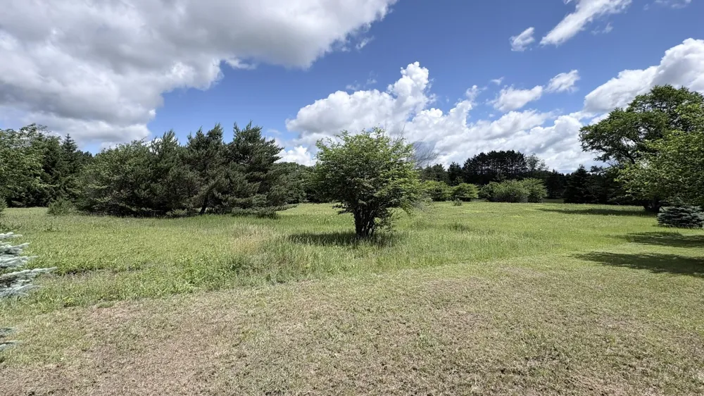 4395 Raymond Road Ellsworth Township, MI 49656