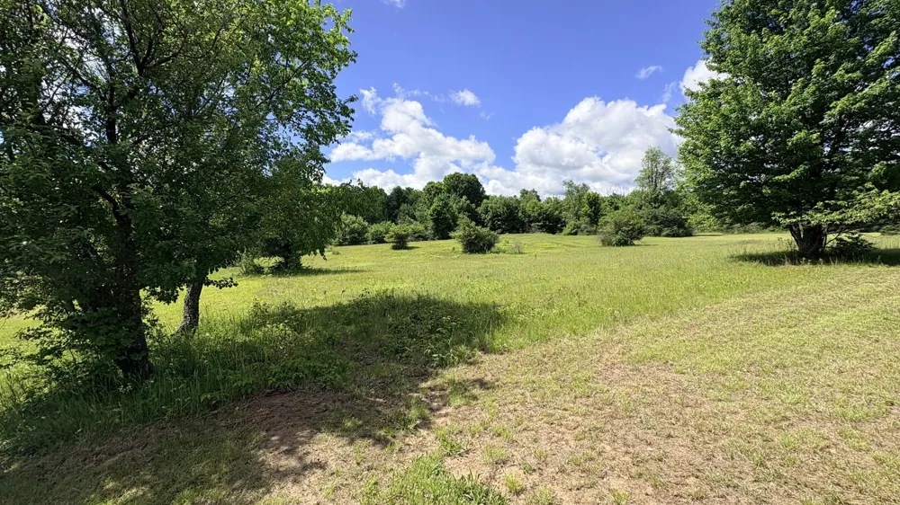 4395 Raymond Road Ellsworth Township, MI 49656