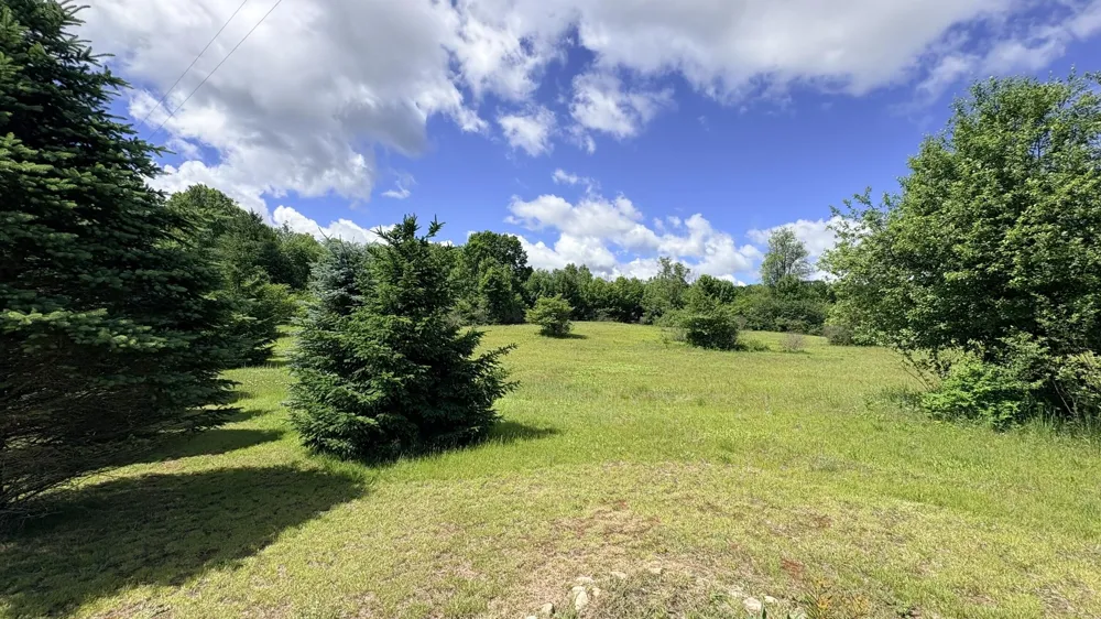4395 Raymond Road Ellsworth Township, MI 49656