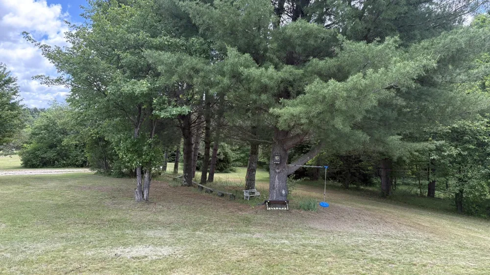 4395 Raymond Road Ellsworth Township, MI 49656