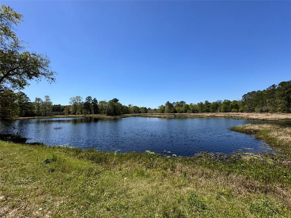 River Jordan Drive Shepherd, TX 77371