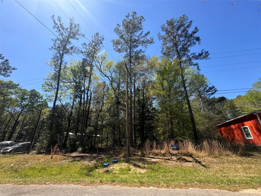 River Jordan Drive Shepherd, TX 77371