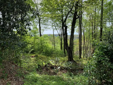95 Oak Point