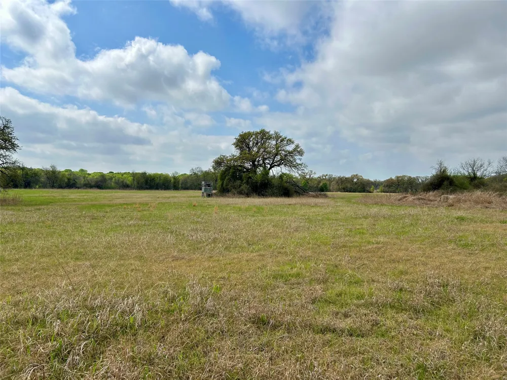 171 HCR 1450 Covington, TX 76636