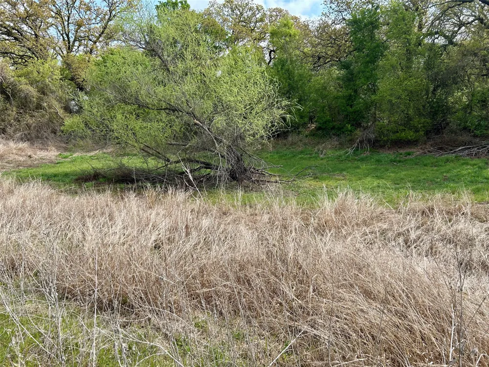 171 HCR 1450 Covington, TX 76636