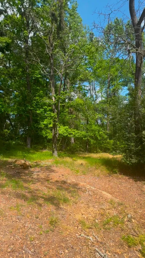 Turner Lane
