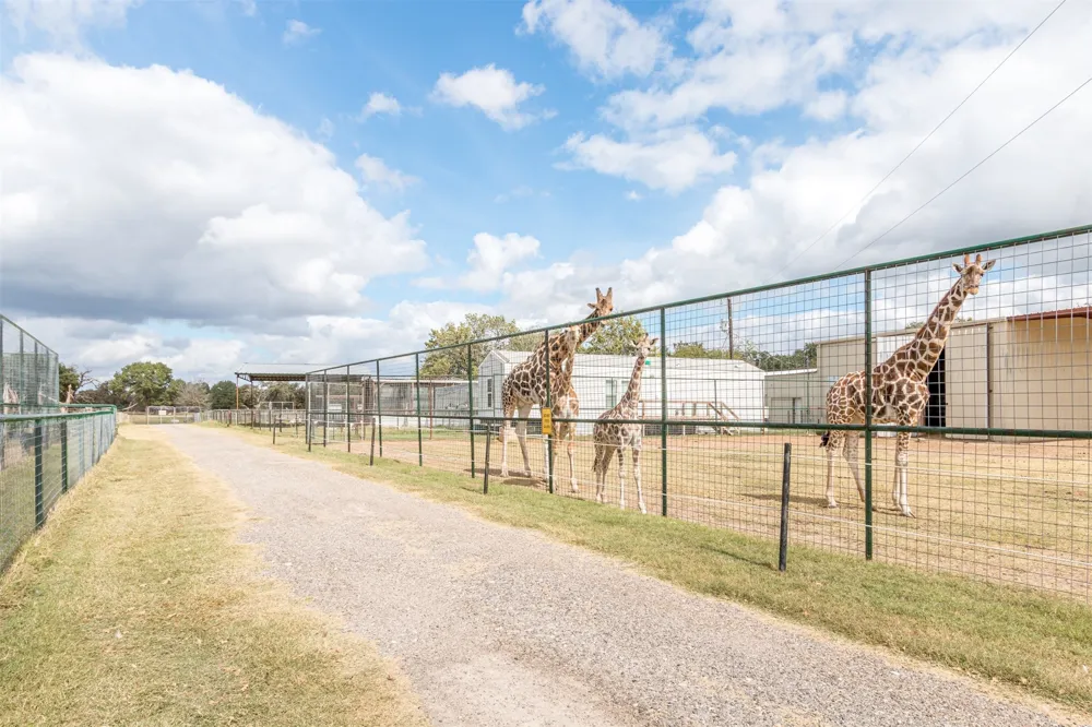 W HWY 79 Franklin, TX 77856