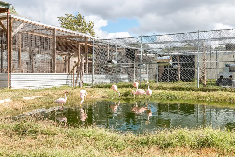 W HWY 79 Franklin, TX 77856