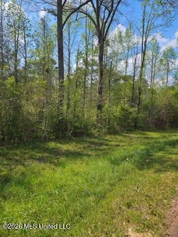 I-55 S Interstate 55 Magnolia, MS 39652