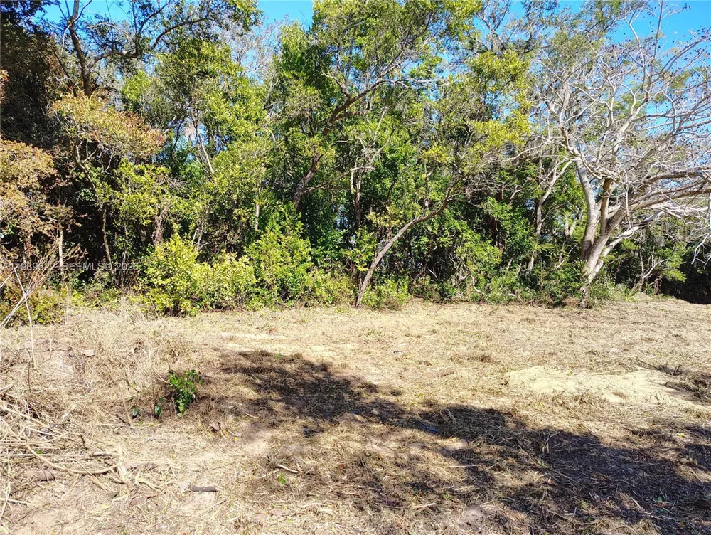 3505 Bethune Sebring, FL 33876