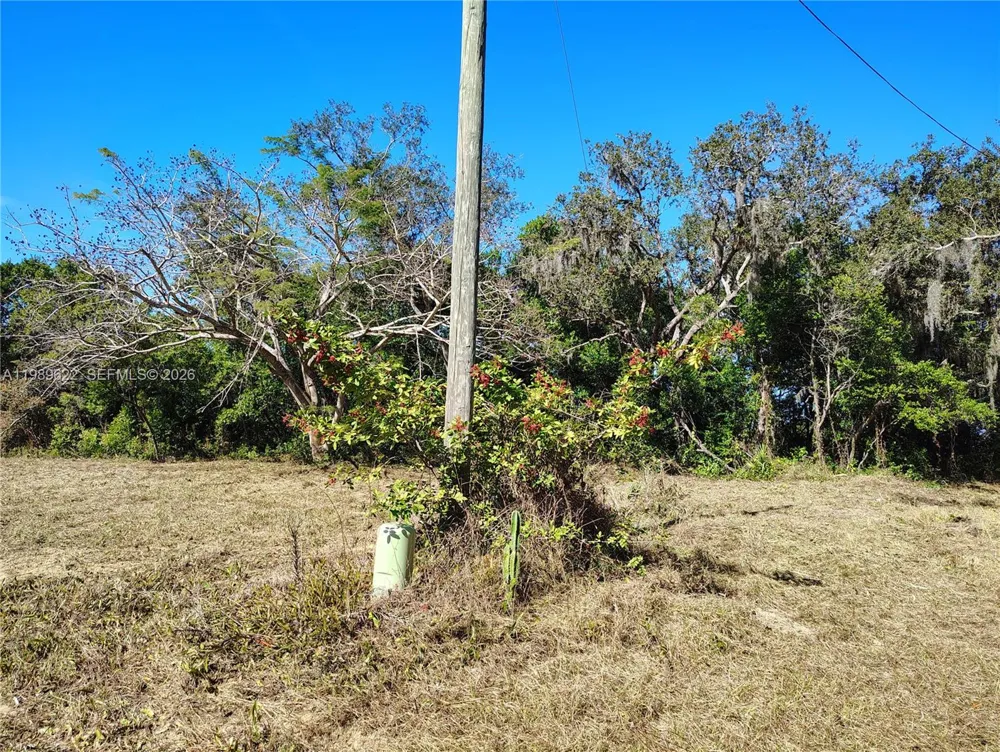 3505 Bethune Sebring, FL 33876