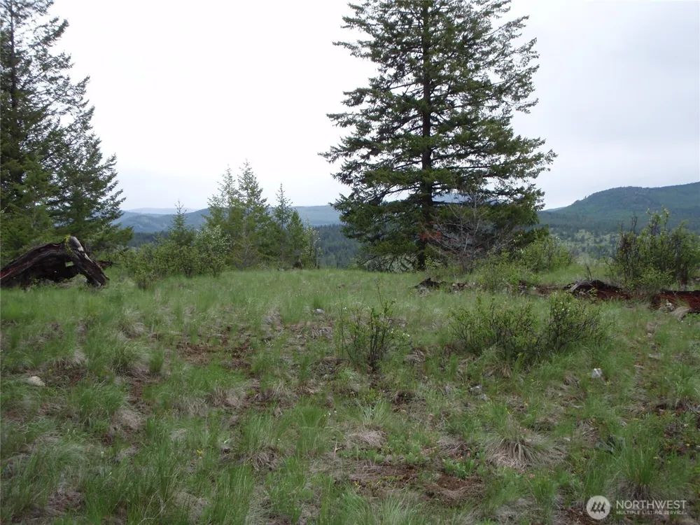 0 Edgewood Lane Curlew, WA 99118