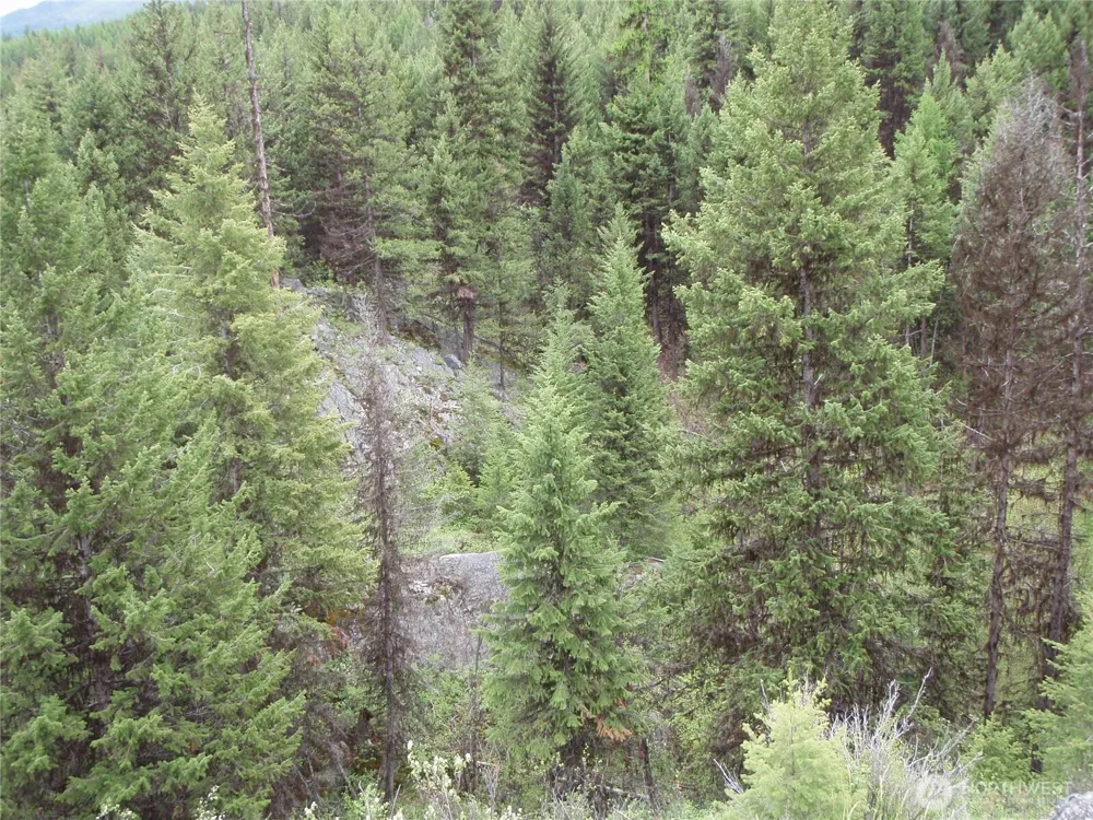 0 Edgewood Lane Curlew, WA 99118