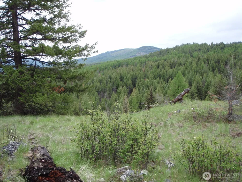 0 Edgewood Lane Curlew, WA 99118