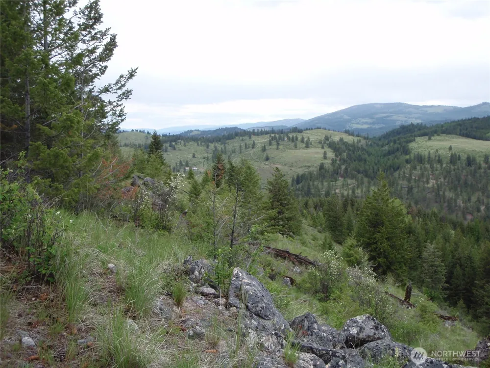 0 Edgewood Lane Curlew, WA 99118