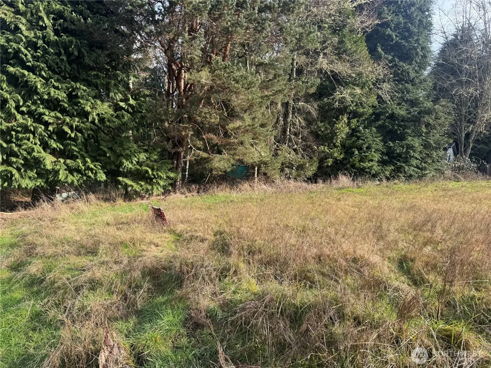 106 Olequa Place Vader, WA 98593