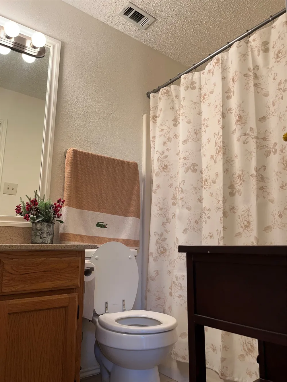 514 Amber Lane DeSoto, TX 75115