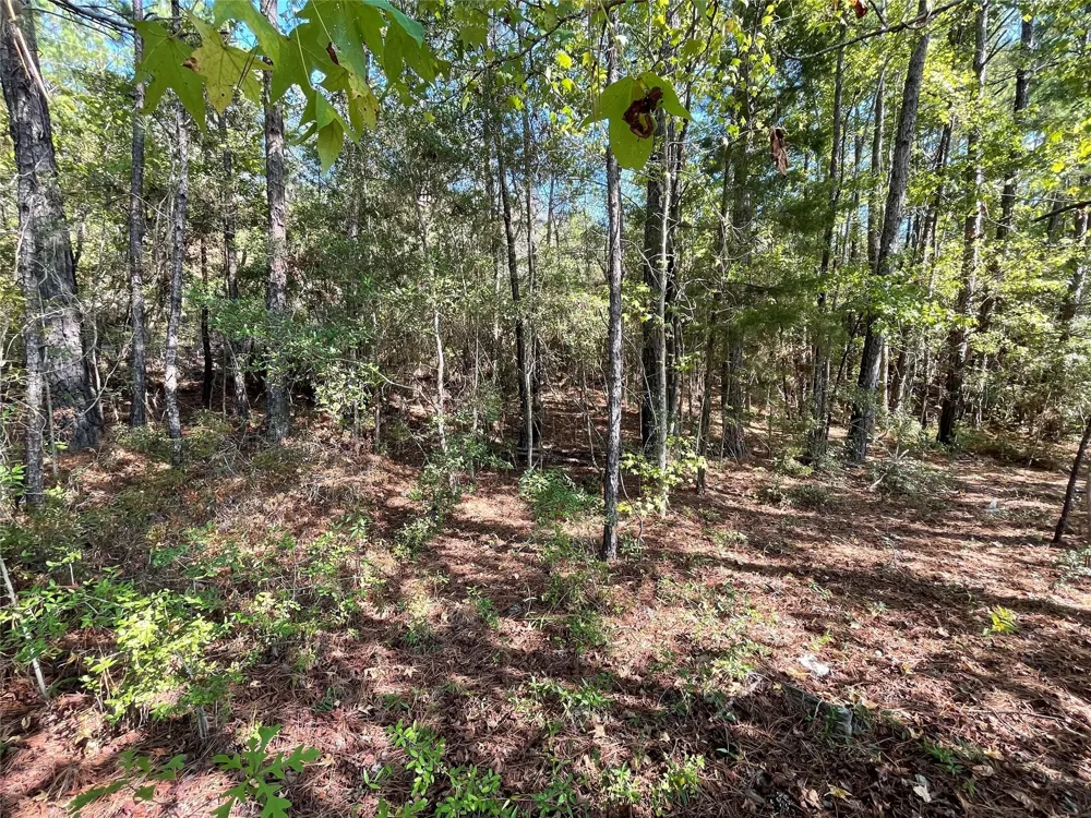 4630 Us Highway 96 Jasper, TX 75951