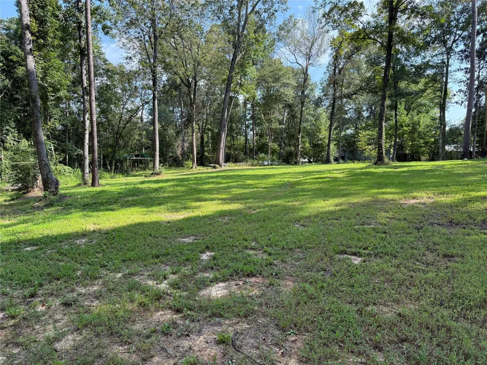 220 Beechwood Street Jasper, TX 75951