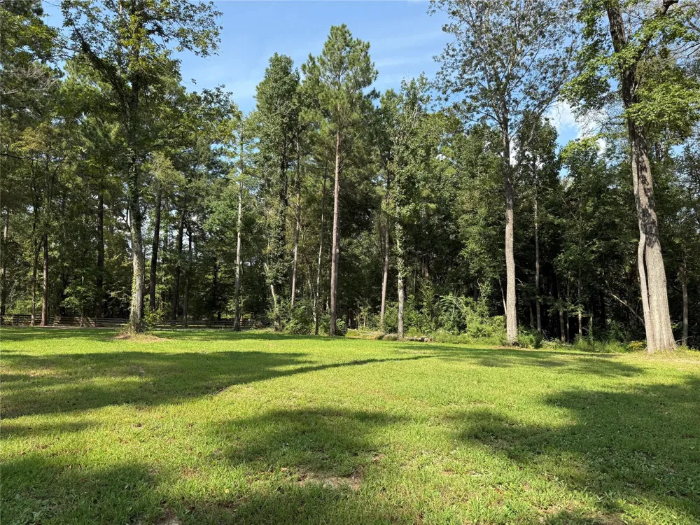 220 Beechwood Street Jasper, TX 75951