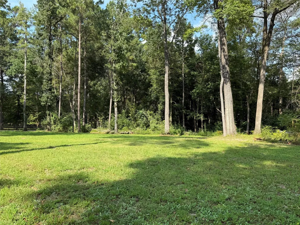 220 Beechwood Street Jasper, TX 75951