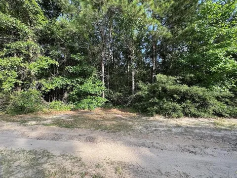 95 Red Wolf Lane