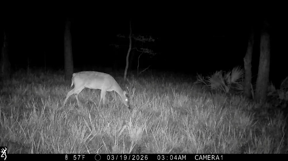 CR 386 Marquez, TX 77865