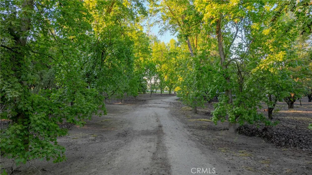 11126 Livingston Cressey Road Livingston, CA 95334