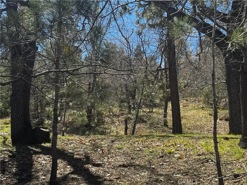 Oriole Road Wrightwood, CA 92397